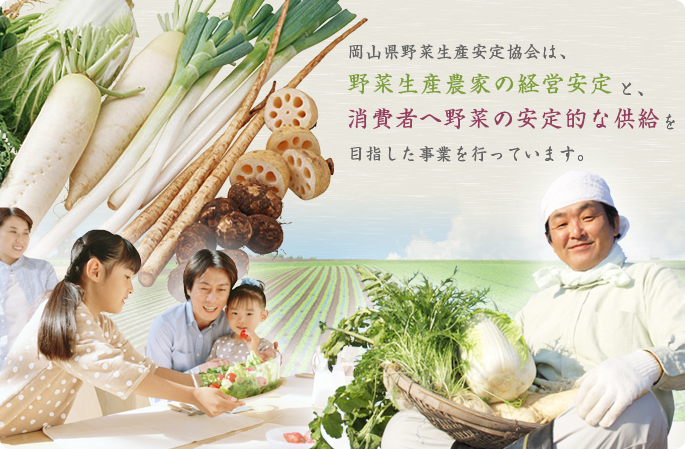 岡山県野菜生産安定協会は、野菜生産農家の経営安定と、消費者へ野菜の安定的な供給を目指した事業を行っています。