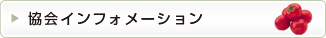 協会インフォメーション